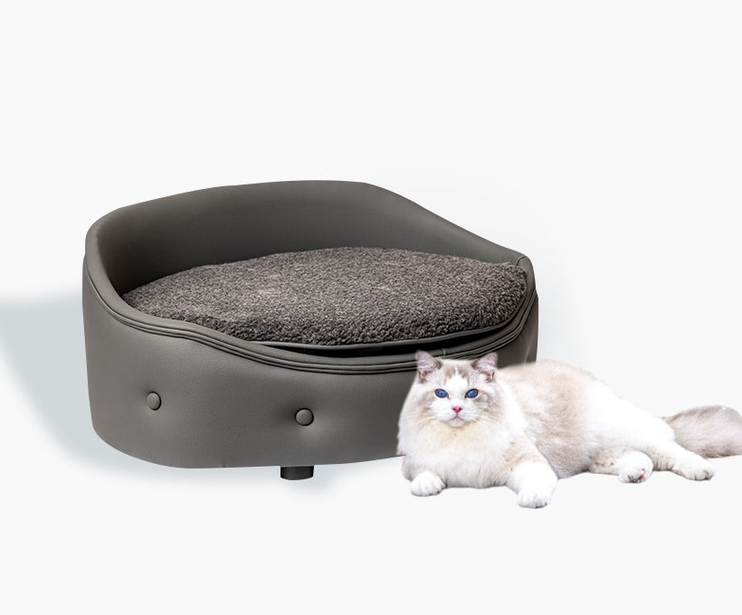 Cat bed warm in winter