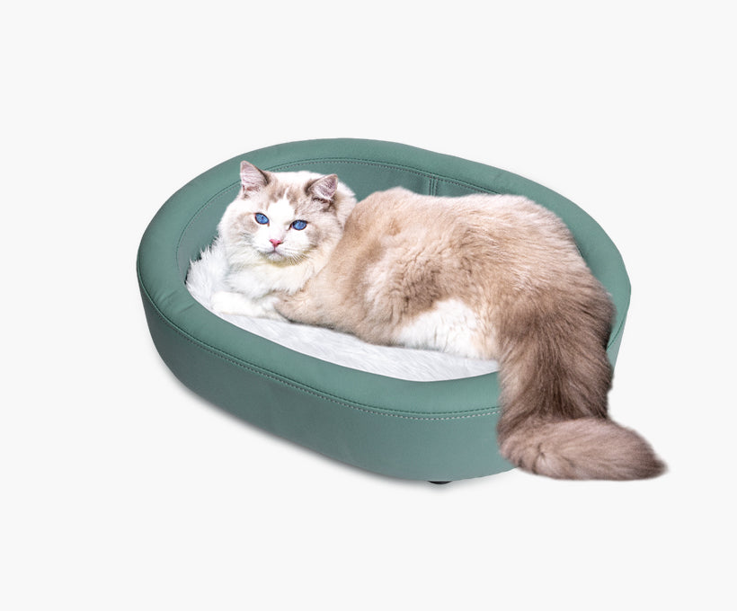 Four Seasons Universal Pet Sofa Bed