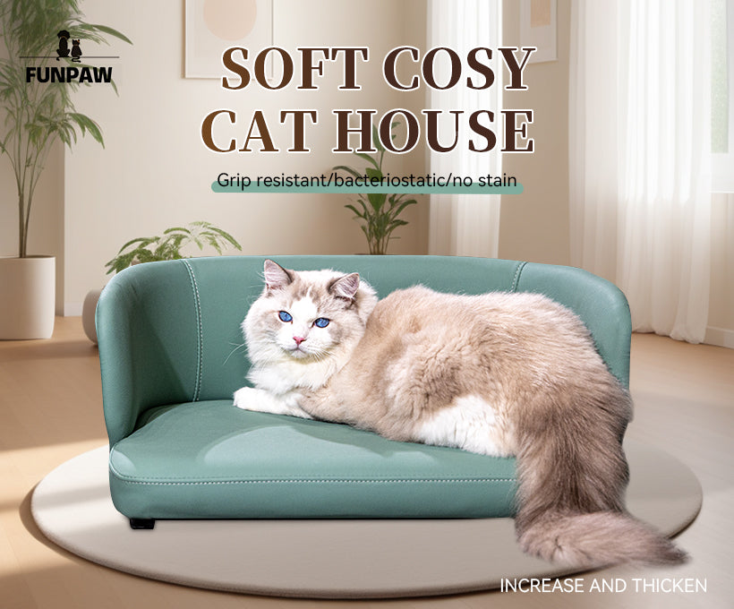 Pet Sofa