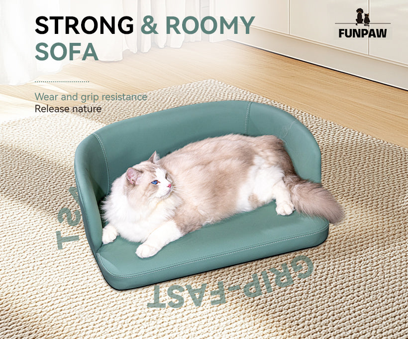 Pet Sofa