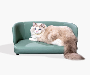 Mint Green Pet Sofa
